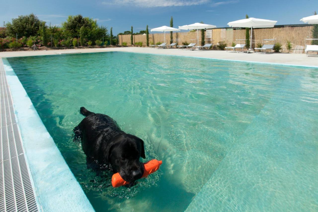 Fattoria Maremmana Aparthotel Marina di Grosseto Ngoại thất bức ảnh