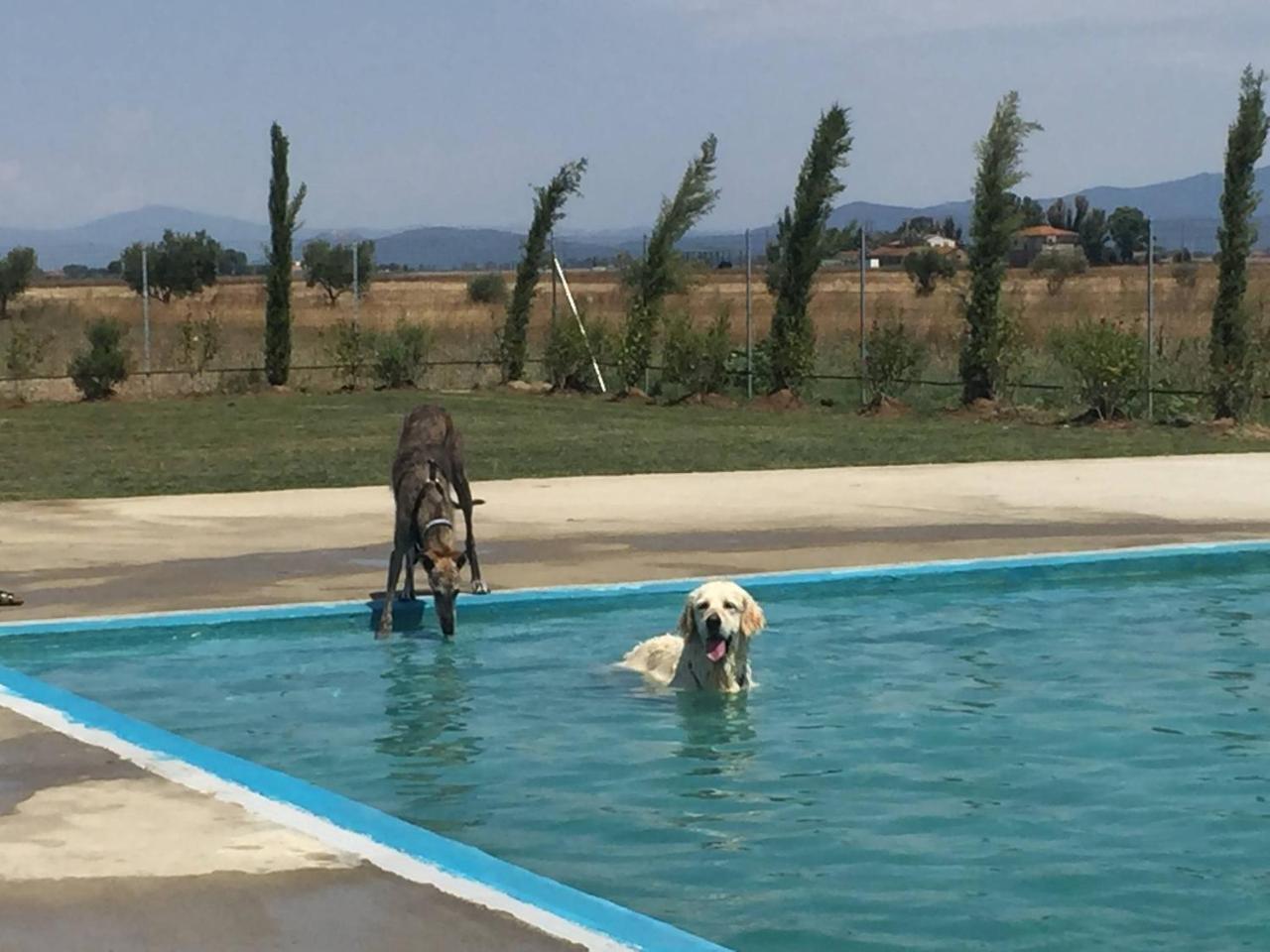 Fattoria Maremmana Aparthotel Marina di Grosseto Ngoại thất bức ảnh